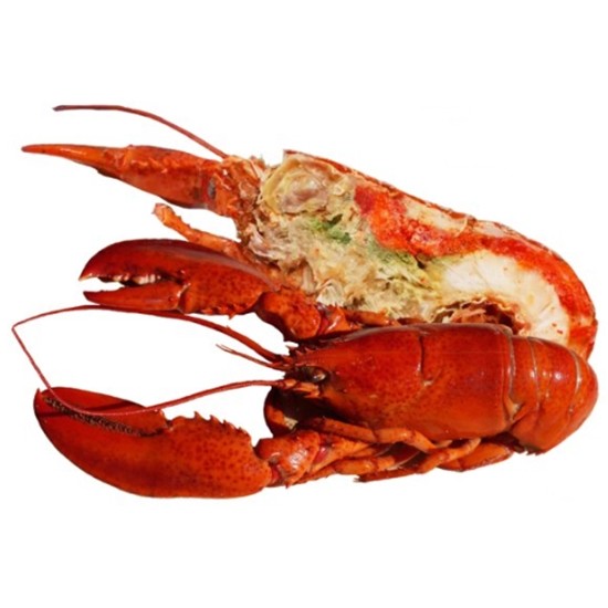 �ξ⽺Ÿ ĳ���� �ڼ� ������ 4��(����)