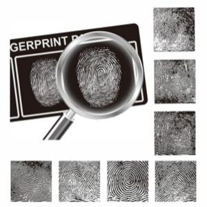 조노돔 참존과학CSI 지문채취 실험키트