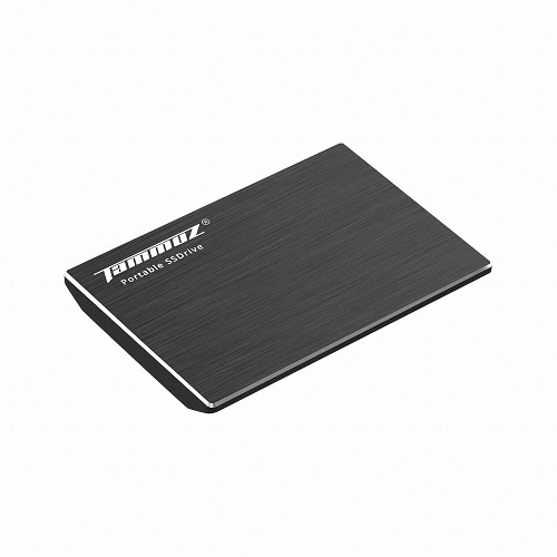 Ÿ���� EX1 SSD(256GB)