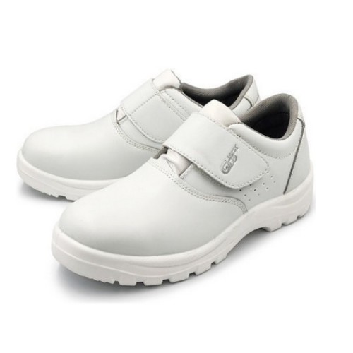 �۷��� ����ȭ TL-01