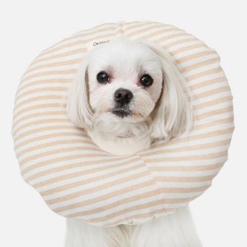 이츠독 오가닉 홈케어링 넥카라 스트라이프 (XL)_이미지