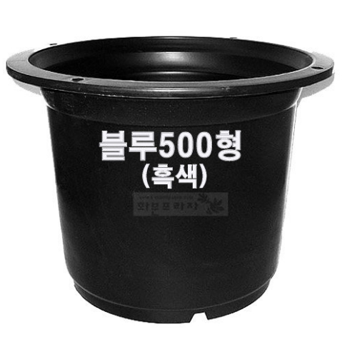 ȭ�������� ���纣��500��