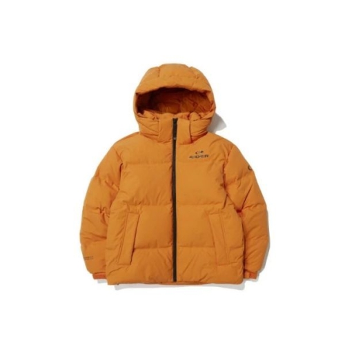 스테롤 P 윈드스토퍼 구스다운 자켓-DMW23509