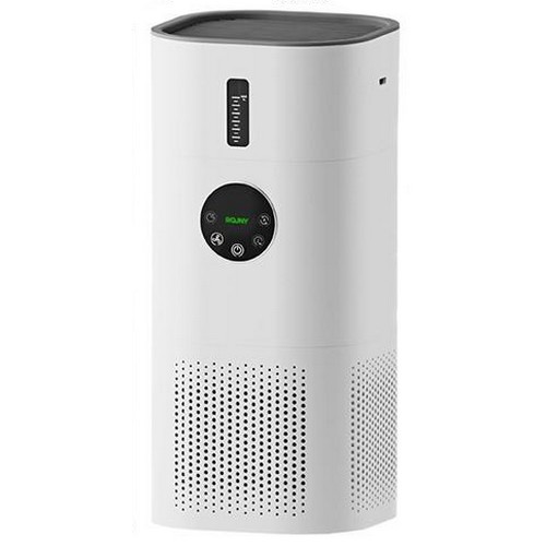 ROUNY AP-T2 (일반구매)_이미지