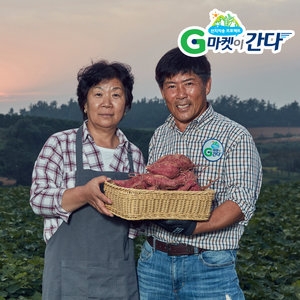 강송우 영암 꿀달 고구마 긴특긴상 3kg [1개]