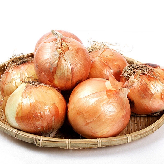 누리원 국내산 양파 중 20kg (1개)