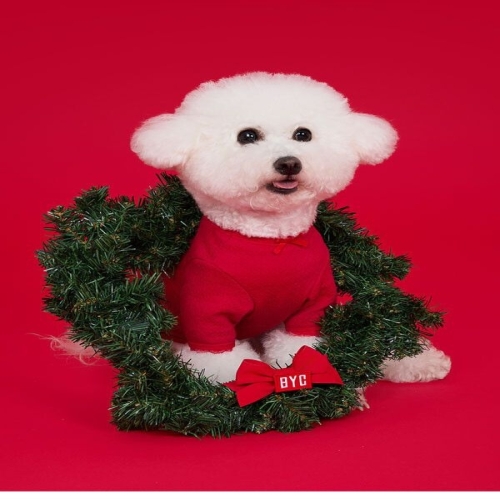 BYC �����߽� �������� S~4XL