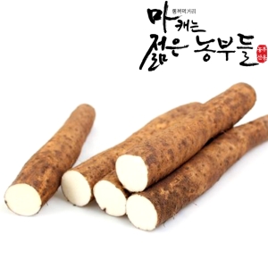 마캐는젊은농부들 안동마 부용농산 GAP인증 장마 중품 5kg_이미지