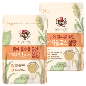 백설 브라운 자일로스 설탕 500g