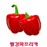  코레마을 꼬레촌 빨강 파프리카 상품 3kg [1개]