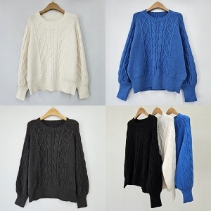 ���̿�� ������ AP ĳ�ù̾�ʹ���ƮE202T265H 510 �������