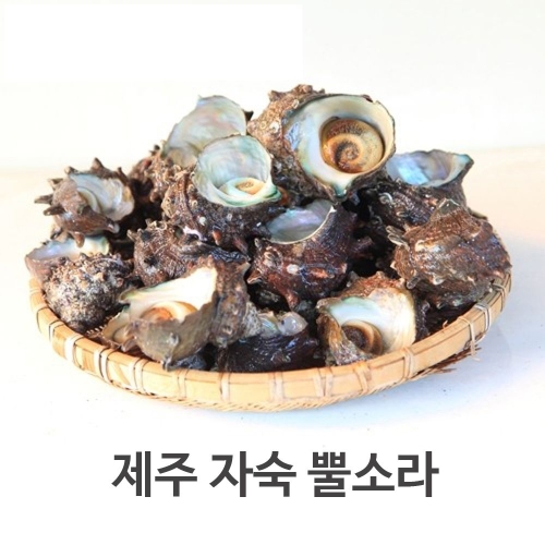 서귀포수협 제주 자숙 뿔소라 / 500g