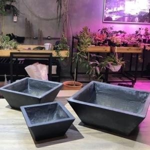 바네스데코 시멘트화분 낮은정사각 먹색 대중소3종 셋트