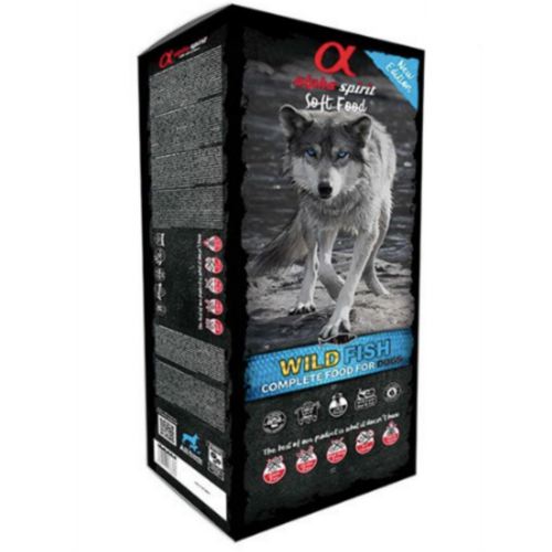 ���Ľ��Ǹ� �Լ���Ʈ ���ϵ��ǽ� ����