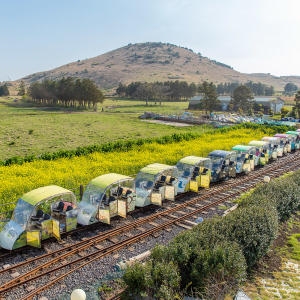 [불명] 제주 레일바이크_이미지