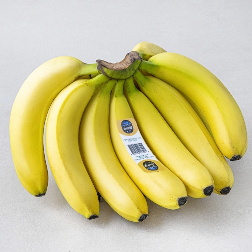 고산지 바나나 2kg