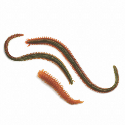 버클리 걸프 샌드웜 6인치 (국내배송)_이미지