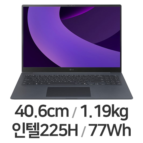 LG전자 2025 그램 프로16 16Z90TP-GA5LK (SSD 512GB)