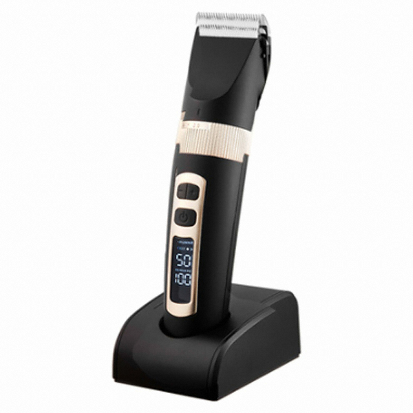 ������ ��ī�븮 ����Ƽ ������ ZP1620