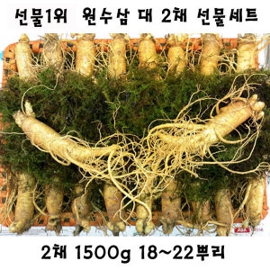 인삼선물세트 원수삼대 2채 선물세트