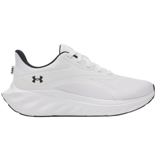 UA 어센드 6009827-100