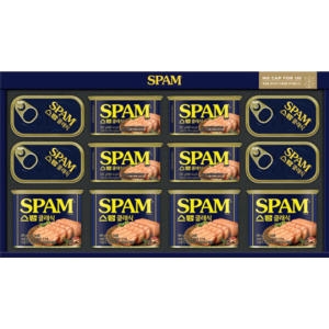 CJ제일제당 스팸 MC3호 (4개)