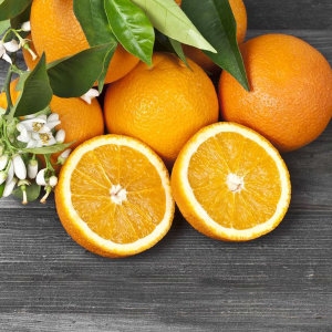 거북농산 호주산 네이블오렌지 86-88과(개) 17kg [1개]