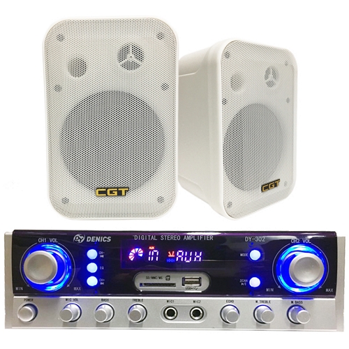 대영음향 DENICS DY-302 + PA-502 (스피커, 1조)_이미지