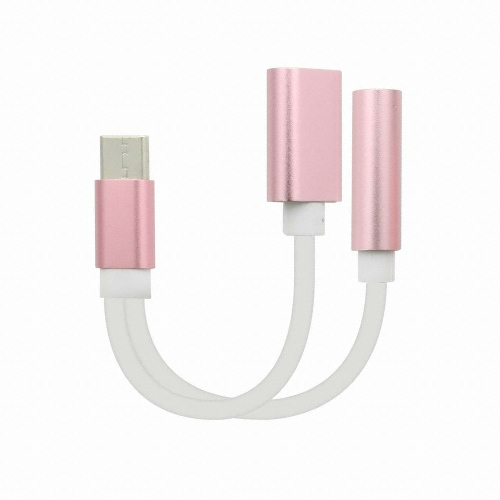 Type C to 3.5mm AUX 듀얼 젠더 (ID562)