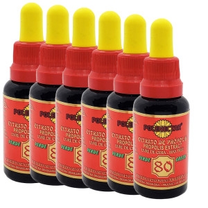  폴리넥타 Polenectar 브라질 프로폴리스 왁스프리80 30ml x6병