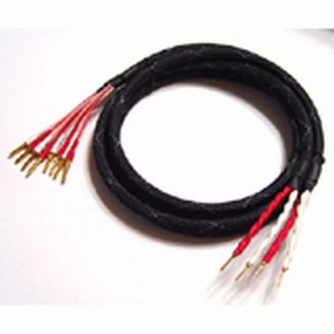 카나레 4S11G 싱글-바이와이어링