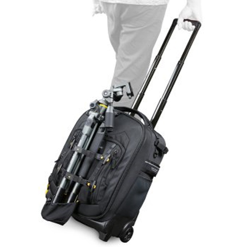 뱅가드 알타 플라이 62T 롤링백