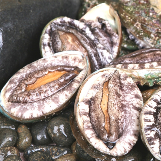 ����� �ϵ� ������ �� 16~20��(����) 2kg