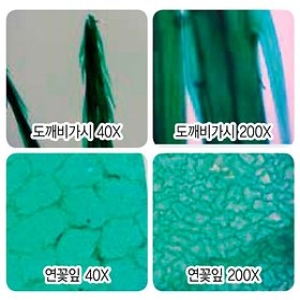 [�Ҹ�] �����񰡽�/������ �����Ķ�Ʈ K6188 ����