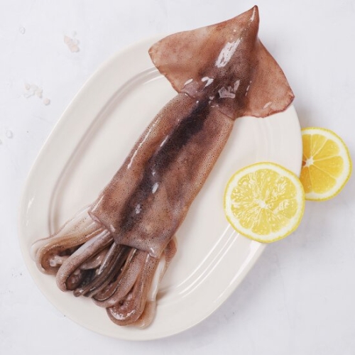 강영수산 자연산 손질오징어 통오징어 2미 270g (3개)_이미지