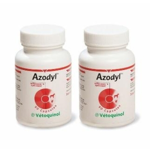 베토퀴놀 아조딜 90p (2개)_이미지