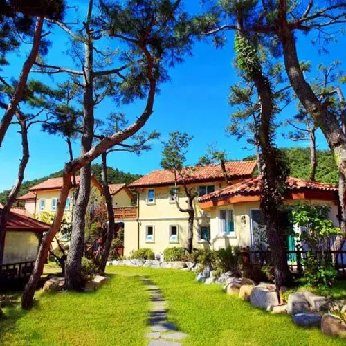 ��ǰ �� �̹���